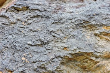 Kükürt ve pirit içeren gri ve turuncu tortulu bir kaya.