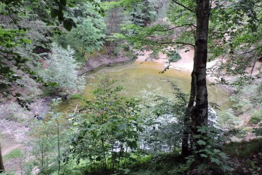 Rudawy Janowickie, Sudetes dağları ve Polonya 'daki ağaçlar arasında sarı bir lakelet manzarası