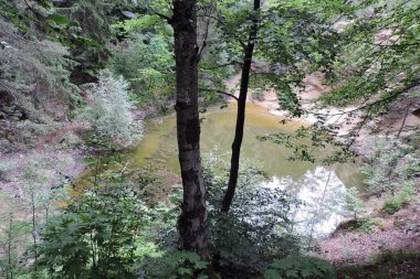 Rudawy Janowickie, Sudetes dağları ve Polonya 'daki ağaçlar arasında sarı bir lakelet manzarası