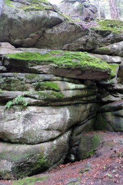 Karkonosze Dağları, Sudetes Dağları 'nın Polonya bölgesinde yeşil yosunlarla kaplı doğal olarak çatlamış granit kayalar.