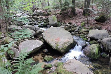 Podgrna Nehri denen bir dağ nehrinin çağlayan suları, akan sular, uzun ağaç gövdeleri, çöp yığınları, Polonya 'daki Karkonosze Dağları' ndaki ormanda yeşil yosunlarla kaplı dev granit kayalar.