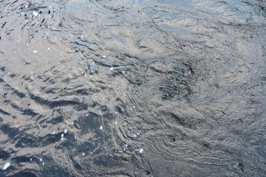 Su yüzeyinde bazı dalgalanmalar