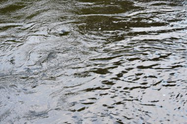 Su yüzeyinde bazı dalgalanmalar