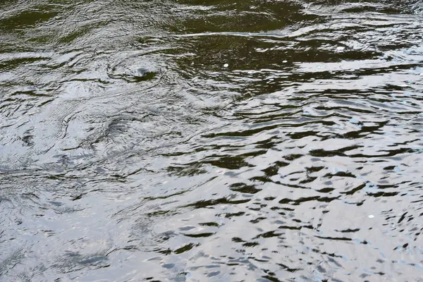 Su yüzeyinde bazı dalgalanmalar