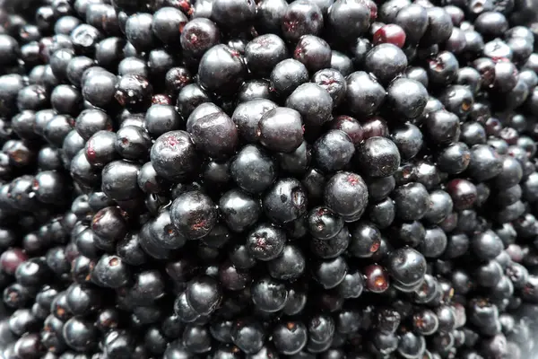 Taze taze aronya üzümleri yakın planda.