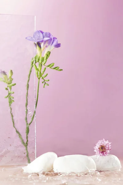 Çiçek Arkaplan Kaidesi Marka Ürün Sergisi Selam Res Fotoğraf — Stok fotoğraf