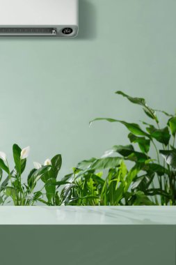 Ürün gösterisi için doğa yeşili arkaplan 