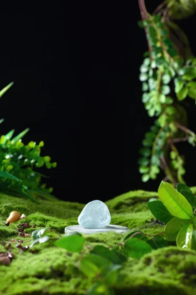 Přírodní Pozadí Květin Kamenů Vody Pro Zobrazení Produktů — Stock fotografie