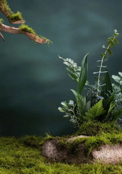Ürünleri Sergilemek Için Çiçeklerin Taşların Suyun Doğal Arkaplanı — Stok fotoğraf