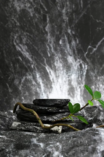 Natürlicher Hintergrund Aus Blumen Steinen Und Wasser Produkte Auszustellen — Stockfoto