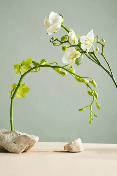Natuurlijke Achtergrond Van Bloemen Stenen Water Producten Weer Geven — Stockfoto