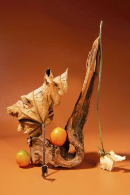 Ürün gösterimi için güzel bir arkaplan, yüksek çözünürlüklü fotoğraflar 