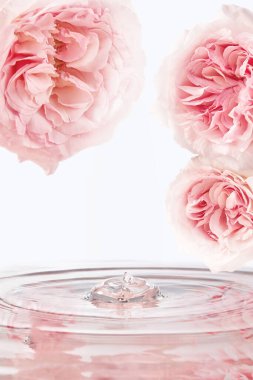 Podyum arkaplan, resim arkaplanı, taze çiçekli en düşük arkaplan 