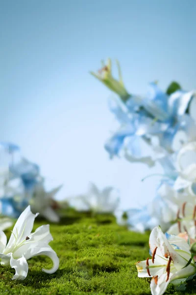 ポディウムの背景 イメージの背景 新鮮な花が付いている最小の背景 — ストック写真