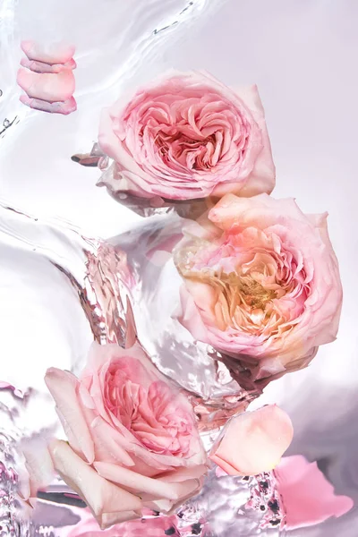 Podium Tło Tło Obrazu Minimalne Tło Świeżymi Kwiatami — Zdjęcie stockowe