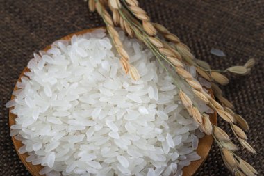 Asya pirinci, Vietnam pirinci Asya 'daki en iyi pirinçtir.