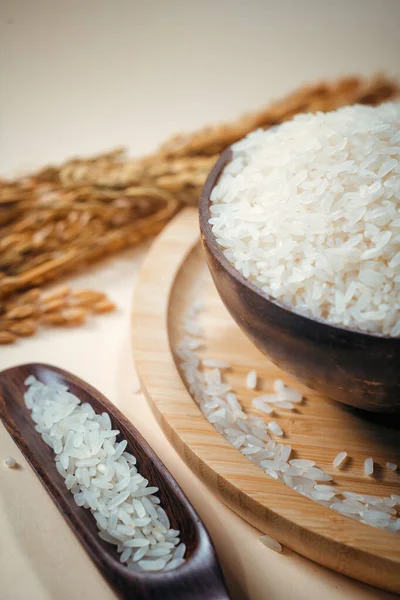 Asya Pirinci Vietnam Pirinci Asya Daki Iyi Pirinçtir — Stok fotoğraf