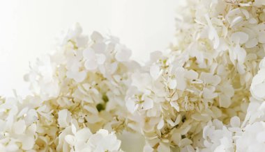 Şaşırtıcı sahte duvar kâğıdıyla ürün tanıtımı.