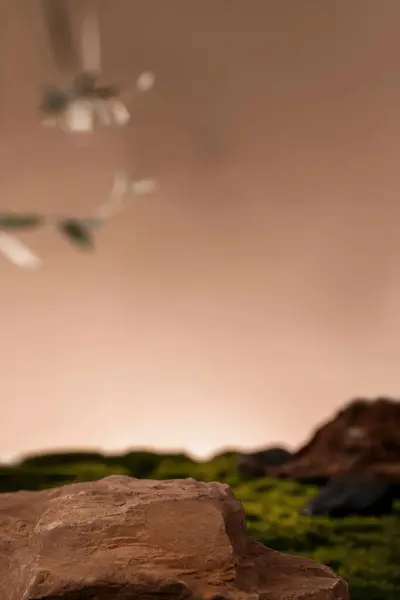 Produktvorführung Mit Atemberaubenden Naturtapeten Hochauflösenden Bildern — Stockfoto