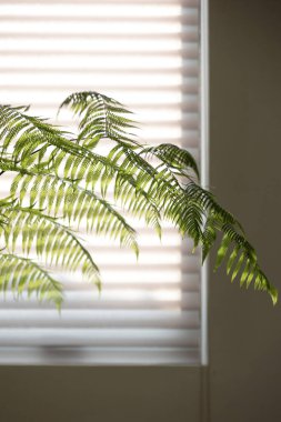 Ürünleri göstermek ve tanıtmak için güzel arkaplan koleksiyonu