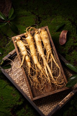 Taze ginseng kökü, ginseng bitkisinin inanılmaz sağlık faydaları.