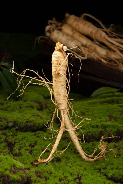 新鮮な人参の根 あなたが知る必要がある人参の驚くべき健康上の利点 人参の植物 — ストック写真