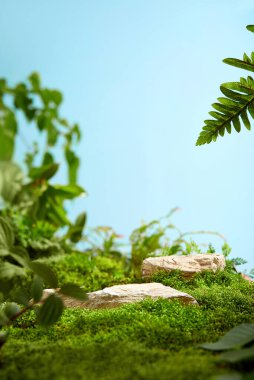 Profesyonel ürün görüntüleme geçmişi, temiz ürün fotoğrafçılık geçmişi, yüksek kaliteli ürün fotoğrafı geçmişi.
