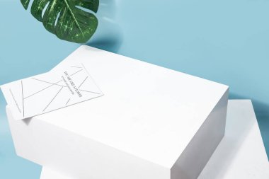 Ürün gösterisi için Geometrik taze yaratıcı arkaplan resmi