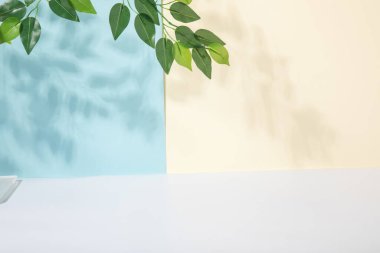 Ürün gösterisi için Geometrik taze yaratıcı arkaplan resmi