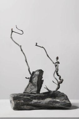 Profesyonel ürün görüntüleme geçmişi, temiz ürün fotoğrafçılık geçmişi, yüksek kaliteli ürün fotoğrafı geçmişi.