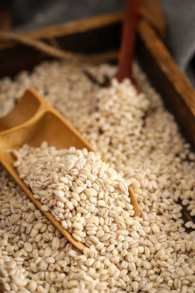 クイックス種子 栄養穀物 ベジタリアン食品 高品質の写真の画像 — ストック写真