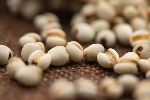 Coix Tohumları Diyet Taneleri Vejetaryen Yiyecekler Yüksek Kaliteli Fotoğraflar — Stok fotoğraf
