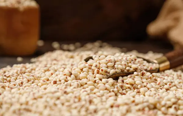 クイックス種子 栄養穀物 ベジタリアン食品 高品質の写真の画像 — ストック写真