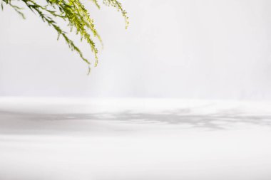 Ürün gösterisi arka planlar, Ürün görüntü arka planı, Ürünler için fotoğraf arkaplanı, Temiz Ürün sunum arka planı