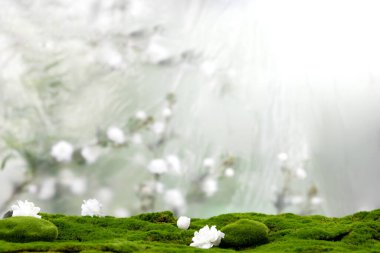 Ürün pazarlama arkaplanı, profesyonel ürün fotoğrafçılığı arka planı, Ürün sunum arkaplanı, Ürün pazarlama arkaplanı