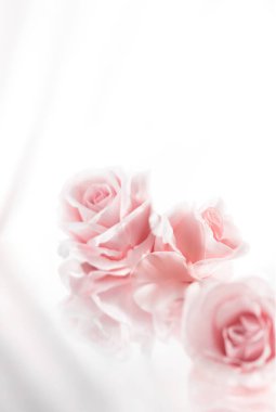 Ürün gösterimi için gül duvar kâğıdı, güllerin üzerinde ürünlerin sergilenmesi, pembe arkaplan