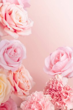 Ürün gösterimi için gül duvar kâğıdı, güllerin üzerinde ürünlerin sergilenmesi, pembe arkaplan