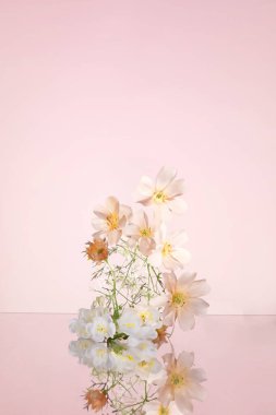 Ürün sergilenen arka planlar, Ürün fotoğrafçılığı, Ürün fotoğrafçılığı arka planları, Ürün tasarımları