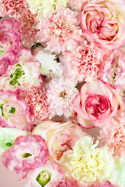 Rose Tapety Pro Zobrazení Výrobku Zobrazuji Produkty Růžích Růžové Pozadí — Stock fotografie