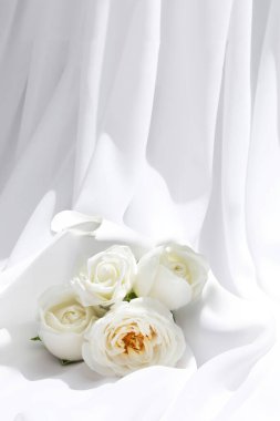 Ürün gösterisi arka planlar, Ürün görüntü arka planı, Ürünler için fotoğraf arkaplanı, Temiz Ürün sunum arka planı