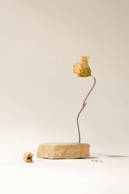 Ürün sergisi arka planları, ürün fotoğrafları için stüdyo arkaplanı, ürün sergisi arkaplanları, sergi arka planları.