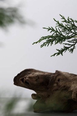 Ürün sergisi arka planları, ürün fotoğrafları için stüdyo arkaplanı, ürün sergisi arkaplanları, sergi arka planları.