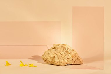 Ürün sergisi arka planları, ürün fotoğrafları için stüdyo arkaplanı, ürün sergisi arkaplanları, sergi arka planları.