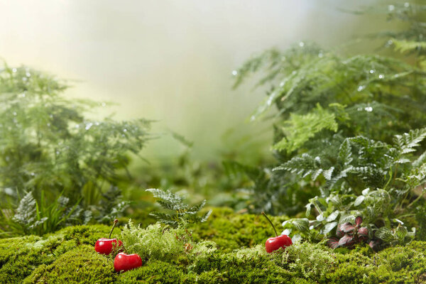 Natural wallpaper for displaying natural products, product backdrop, high quality images