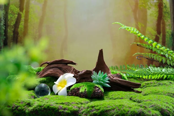 Natural wallpaper for displaying natural products, product backdrop, high quality images