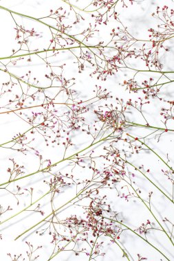 Ürün sunumu arka planlar, ürün çekimleri için arka plan, ürün reklamları.