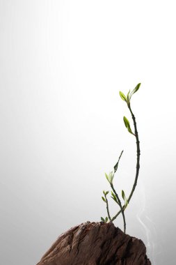 Ticari mallar için fotoğraf arkaplanı, Ürün görüntü arkaplanı, Ürün fotoğrafçılık arkaplanı, profesyonel ürün gösterim arkaplanı