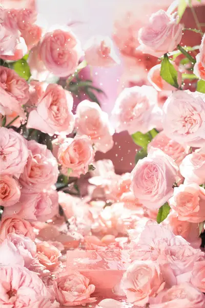 Rose Wallpaper Product Display Rose Background High Quality Images — Stock Photo, Image