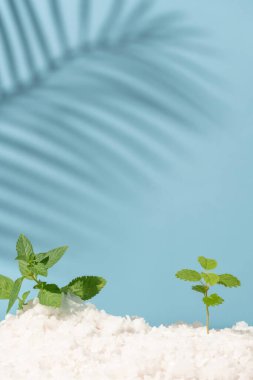 Ürün markalaştırma arkaplanı, ticari ürün fotoğrafçılık arkaplanı, ürün fotoğrafçılığı için stüdyo arka planı