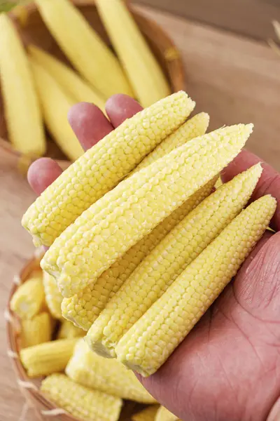 Kukurydza Kolby Kukurydzy Wysokiej Jakości Zdjęcia Kukurydzy — Zdjęcie stockowe